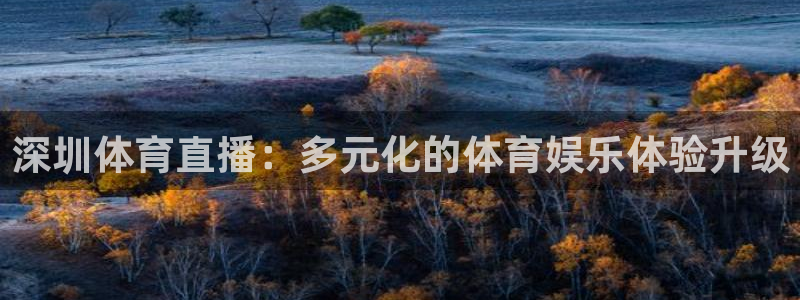 深圳体育直播：多元化的体育娱乐体验升级