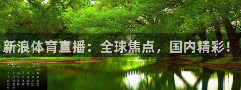 新浪体育直播：全球焦点，国内精彩！