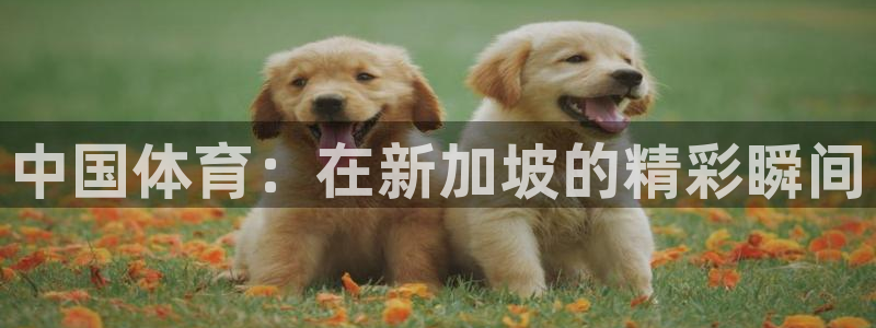 中国体育：在新加坡的精彩瞬间