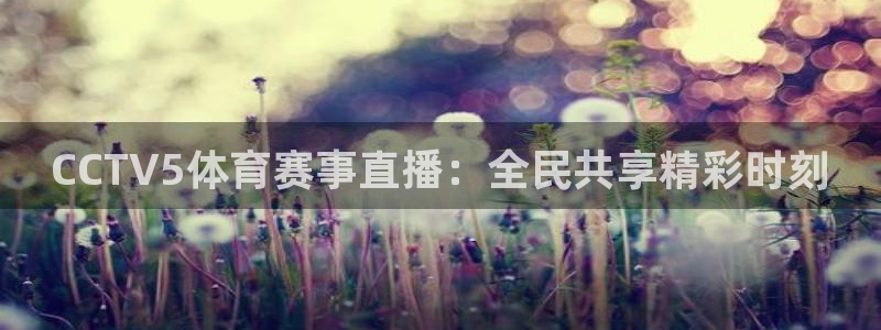 CCTV5体育赛事直播：全民共享精彩时刻
