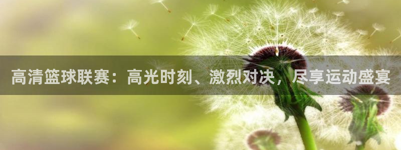 高清篮球联赛：高光时刻、激烈对决，尽享运动盛宴