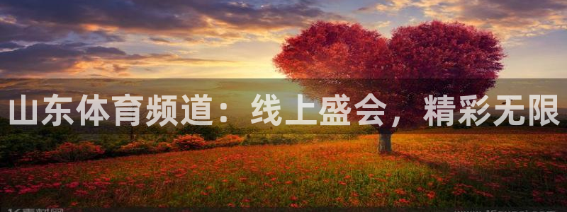 山东体育频道：线上盛会，精彩无限