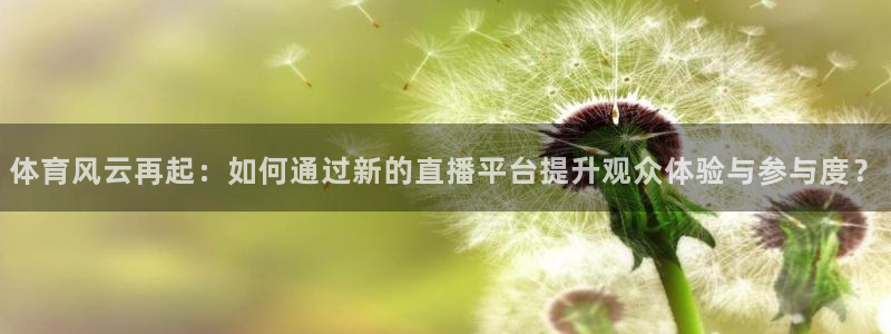 体育风云再起：如何通过新的直播平台提升观众体验与参与度？