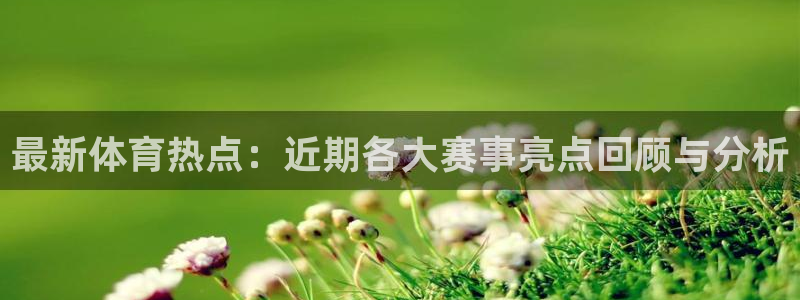 最新体育热点：近期各大赛事亮点回顾与分析